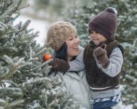 mother and child choose a Christmas tree