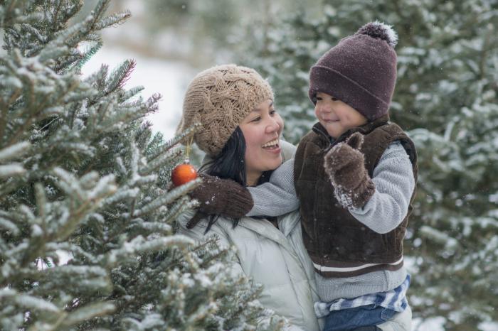 mother and child choosing Christmas tree