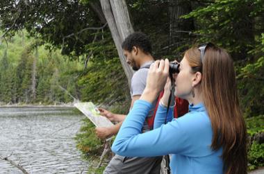 birding in Western NY