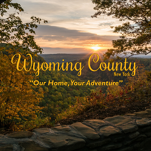 Letchworth State Park in Wyoming County NY