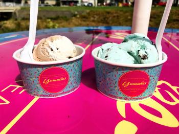 ice cream in Wyoming County NY