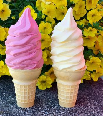 ice cream shops in Wyoming County