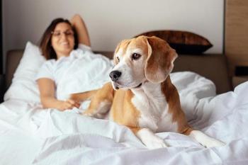 woman and dog in bed at pet-friendly hotel