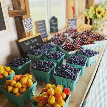 Farmer's markets in Western NY