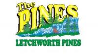 Letchworth Pines