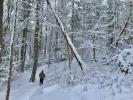 Go for a hike in Beaver Meadow Audubon Nature Preserve