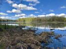 Beaver Meadow Audubon Nature Preserve