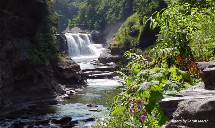 Letchworth State Park Lower Falls - Sarah Marsh